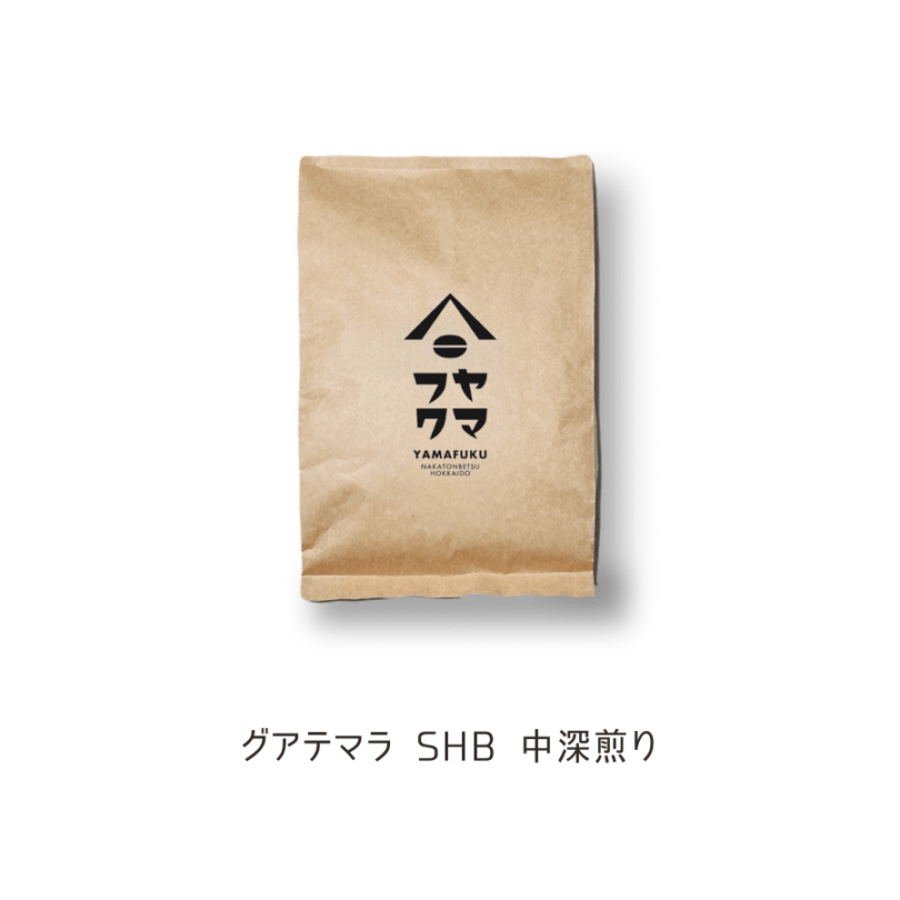 グアテマラ SHB 中深煎り 300g