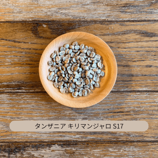 タンザニア キリマンジャロ AA S17 生豆 100g・500g・1kg(選択)